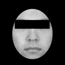 Eyes-masked stimulus example