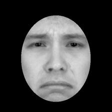 Face stimulus with ROI bands