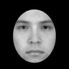 Full-face stimulus example