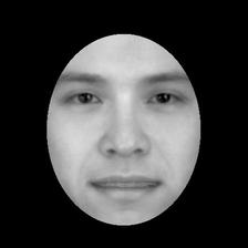 Aligned face stimulus